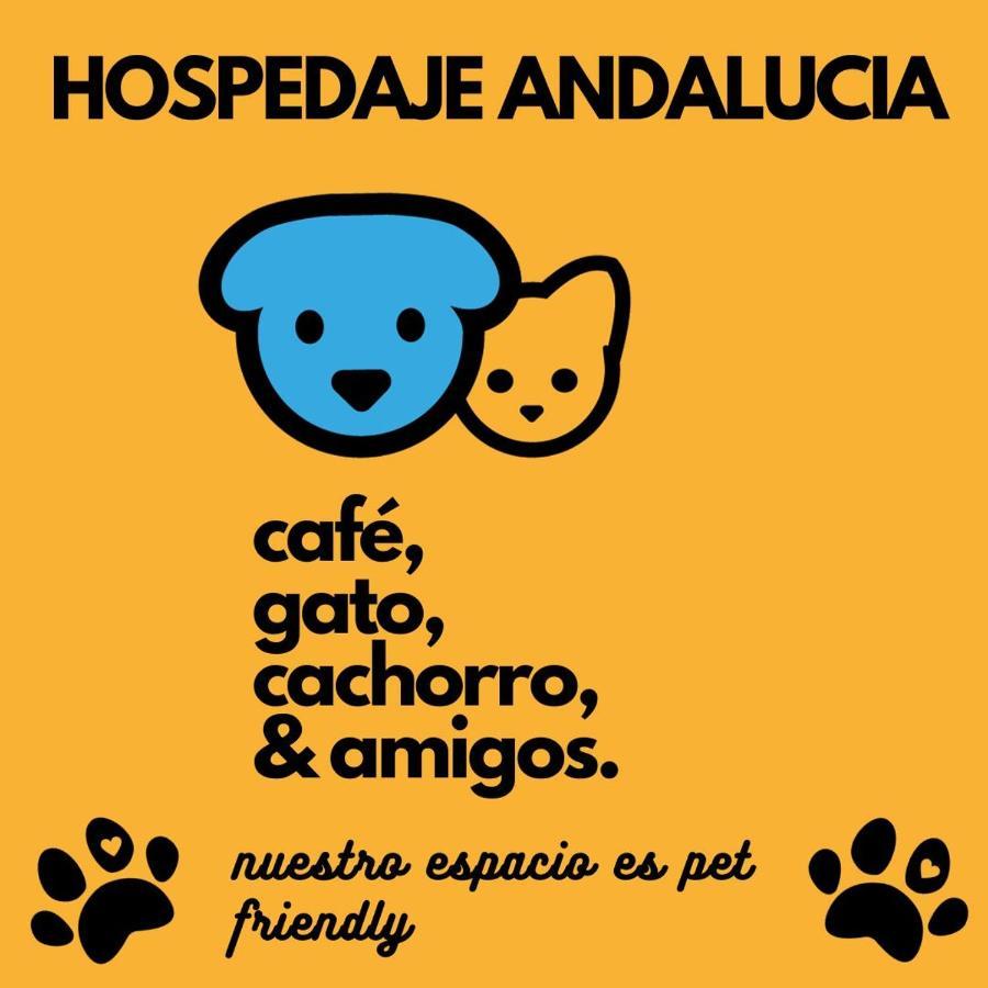 Florianópolis Casa Andalucia旅舍 外观 照片